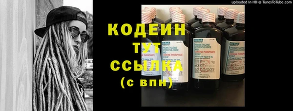 молекула духа Козловка