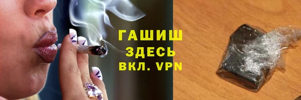 гидра Кодинск