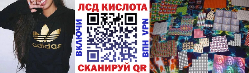 Купить закладки  Грязовец  Наркотические марки 1,8мг 