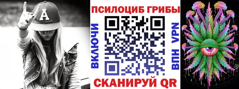 Псилоцибиновые грибы мицелий  Купить  Грязовец 